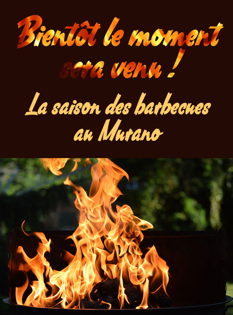 grill_01_v_fr