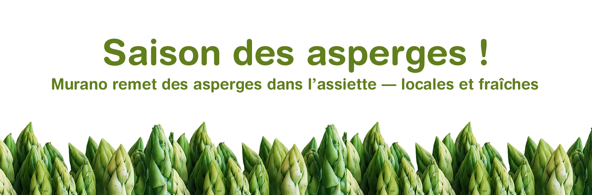 spargel_fr_h