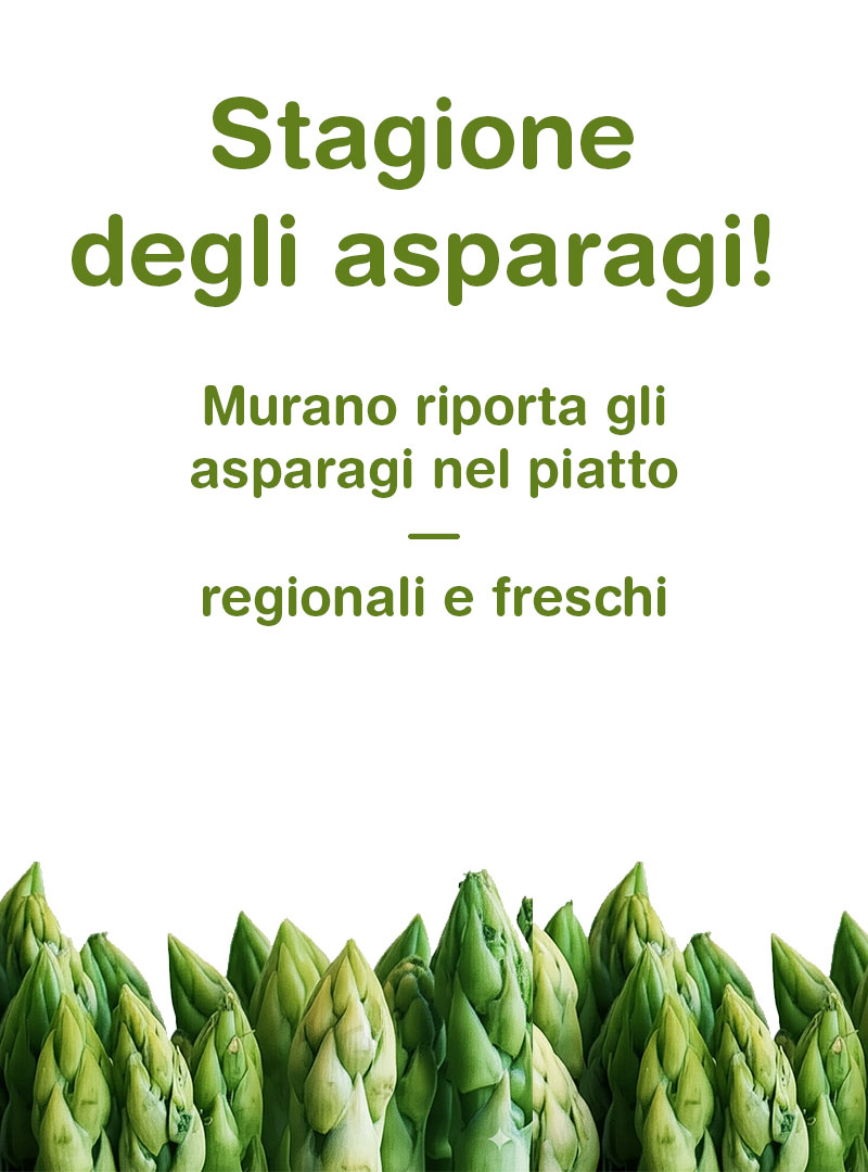 spargel_it_v
